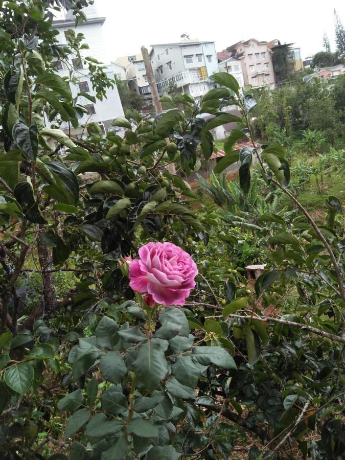 Nha Cua Soc Apartman Da Lat Kültér fotó