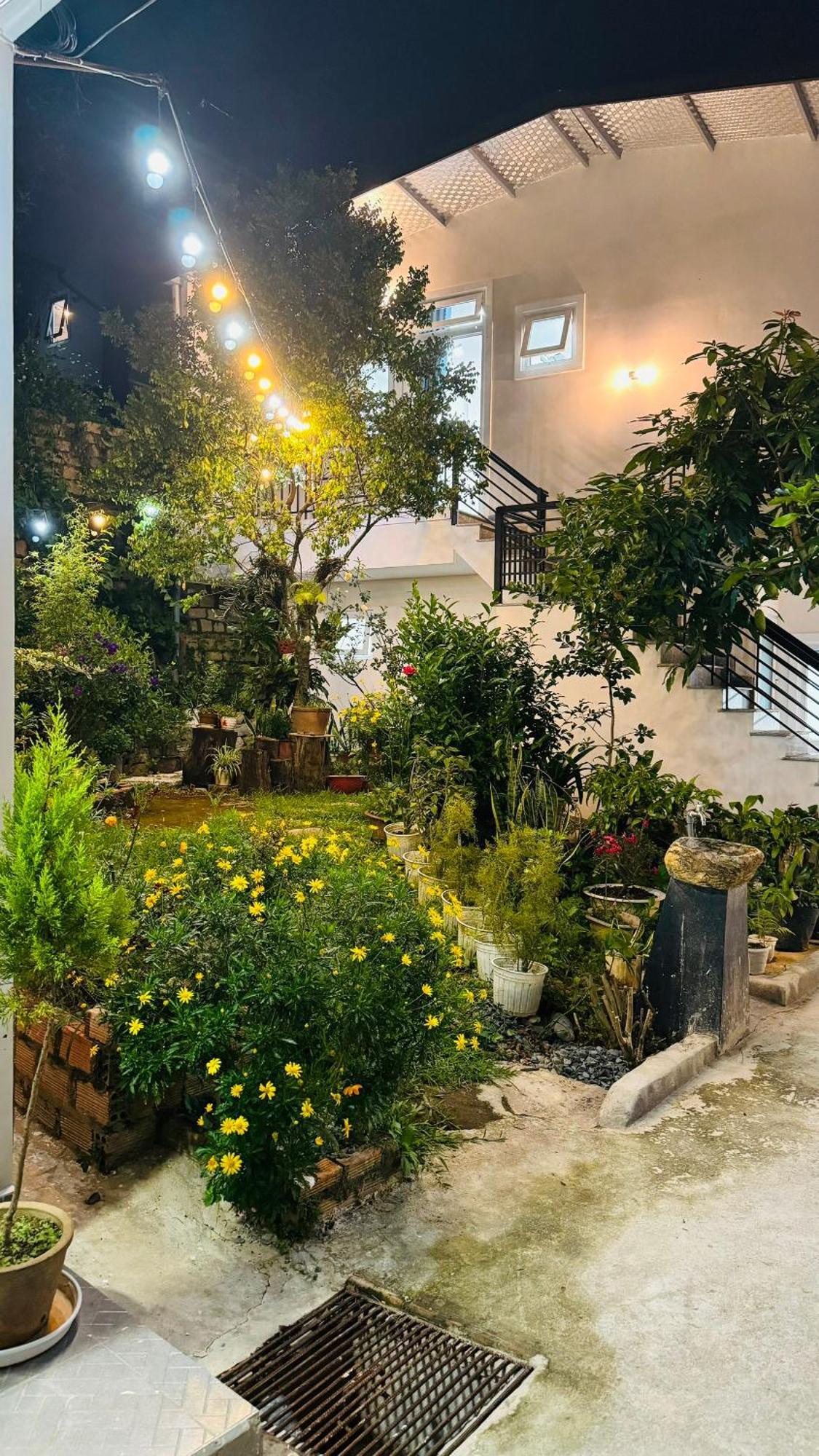 Nha Cua Soc Apartman Da Lat Kültér fotó